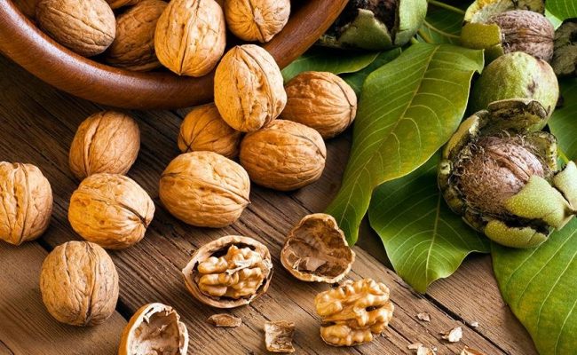 Που βλαπτουν τα καρυδια καρυδια παρενεργειες 5 καρυδια την ημερα καρυδια ιδιοτητες καρυδια θερμιδες μια χουφτα Ποσα καρυδια την ημερα καρυδια θερμιδες 100γρ 4 καρυδια θερμιδες That harm the nuts walnuts side effects 5 nuts a day walnut properties nuts a handful of calories How many nuts a day walnuts calories 100gr 4 calories calories